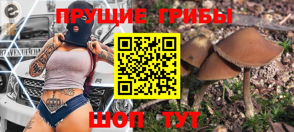 Галлюциногенные грибы Cubensis Каменка