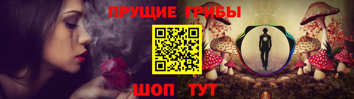 Каменка  как найти закладки  Псилоцибиновые грибы GOLDEN TEACHER  Вход с VPN  Псилоцибиновые грибы GOLDEN TEACHER 